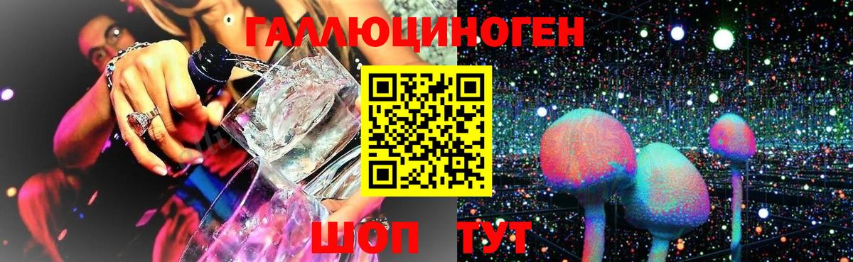 Псилоцибиновые грибы прущие грибы Кудрово