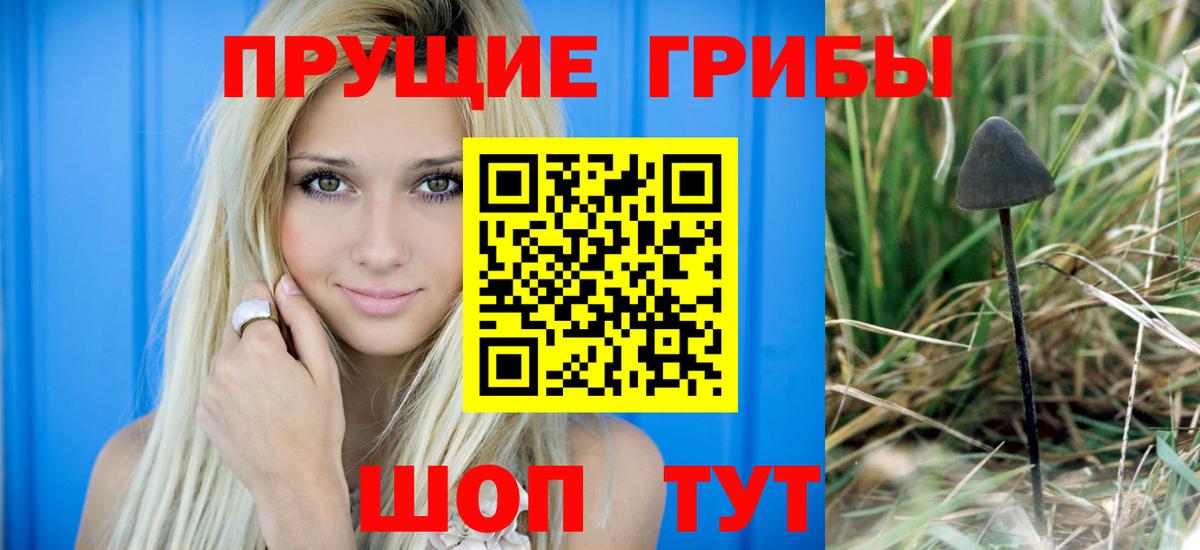 Кудрово  Галлюциногенные грибы мицелий  Вход с VPN 